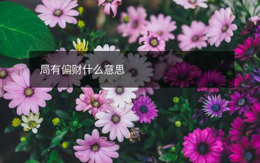 局有偏財(cái)什么意思