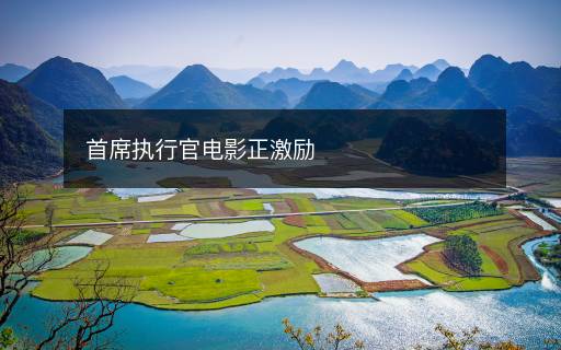 首席執(zhí)行官電影正激勵(lì)