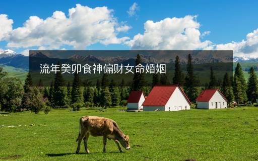 流年癸卯食神偏財(cái)女命婚姻