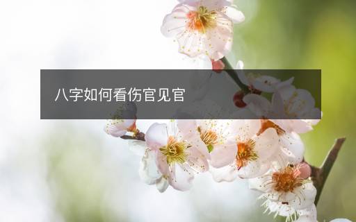 八字如何看傷官見官