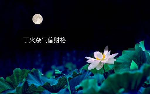 丁火雜氣偏財(cái)格