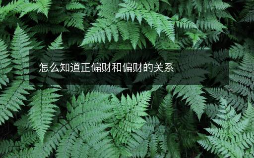 怎么知道正偏財(cái)和偏財(cái)?shù)年P(guān)系