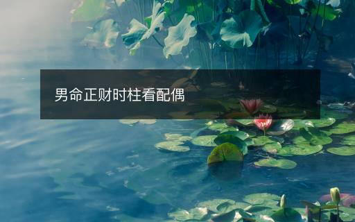 男命正財(cái)時(shí)柱看配偶