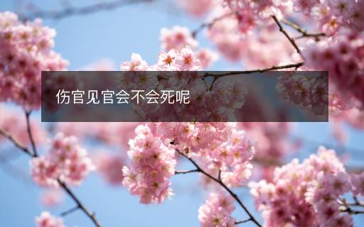 傷官見官會不會死呢