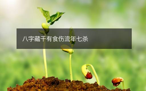 八字藏干有食傷流年七殺