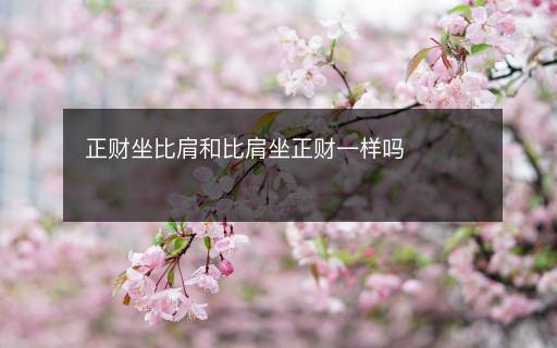 正財(cái)坐比肩和比肩坐正財(cái)一樣嗎