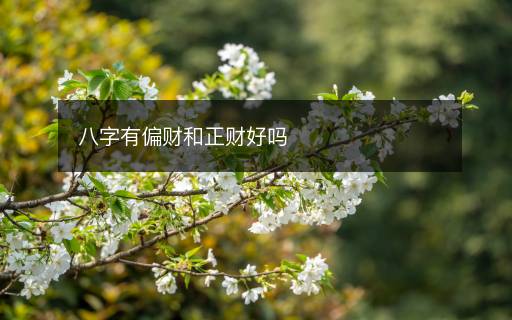 八字有偏財(cái)和正財(cái)好嗎