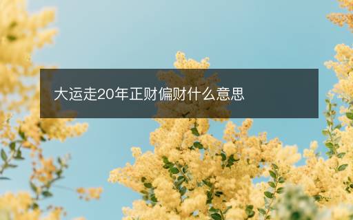 大運走20年正財偏財什么意思