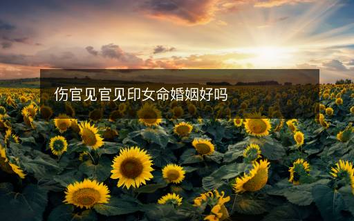 傷官見官見印女命婚姻好嗎