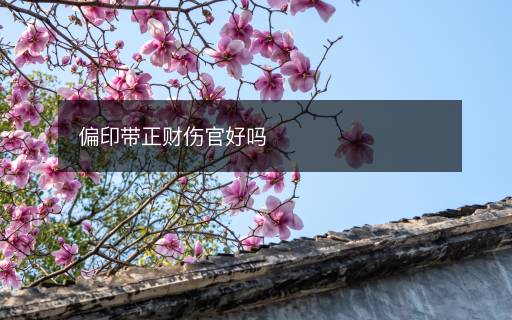 偏印帶正財(cái)傷官好嗎