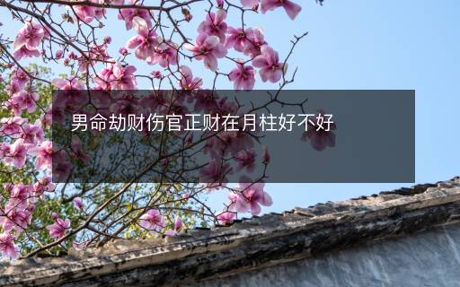 男命劫財傷官正財在月柱好不好