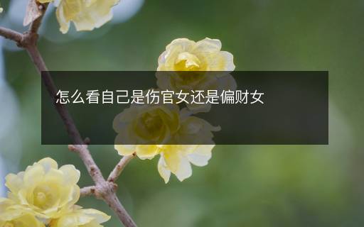 怎么看自己是傷官女還是偏財女