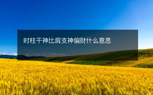 時柱干神比肩支神偏財什么意思