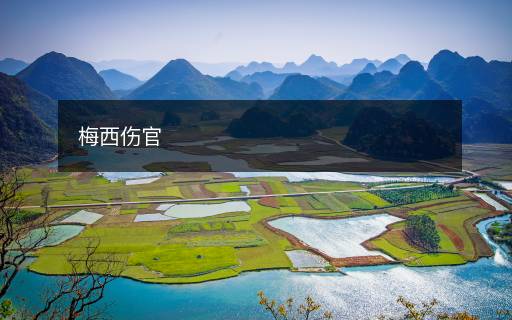 梅西傷官