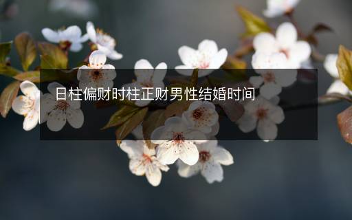 日柱偏財(cái)時(shí)柱正財(cái)男性結(jié)婚時(shí)間