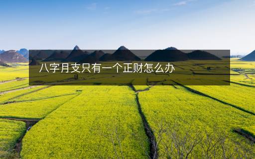 八字月支只有一個正財怎么辦