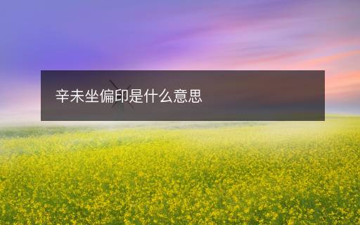 辛未坐偏印是什么意思