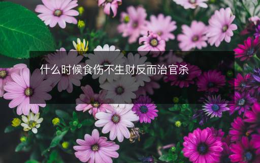 什么時候食傷不生財反而治官殺