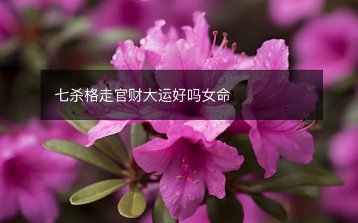 七殺格走官財大運好嗎女命