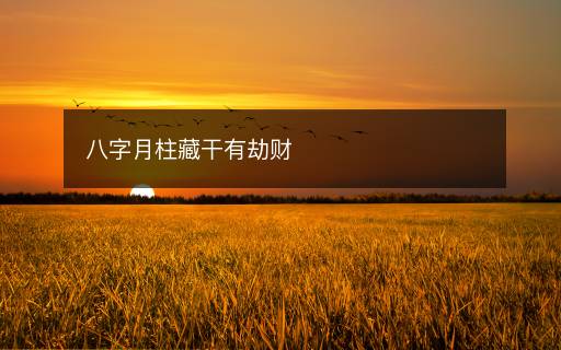八字月柱藏干有劫財