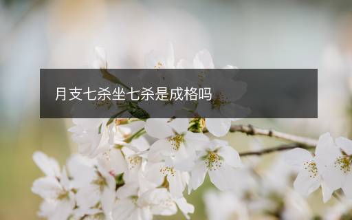 月支七殺坐七殺是成格嗎