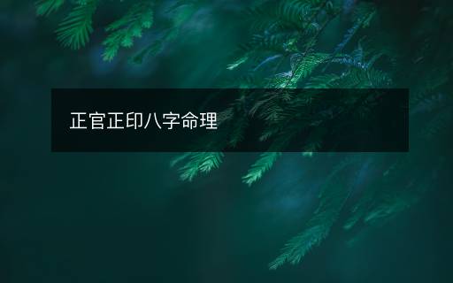 正官正印八字命理