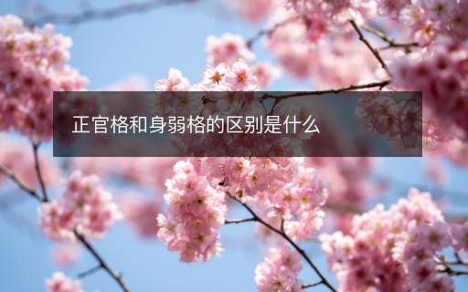 正官格和身弱格的區(qū)別是什么