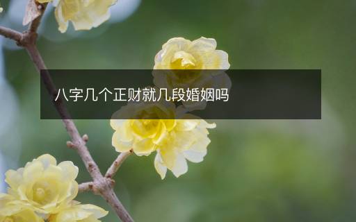 八字幾個正財就幾段婚姻嗎