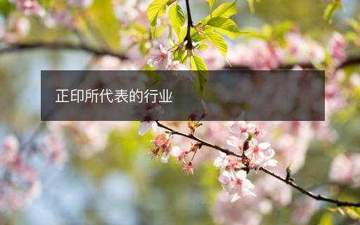 正印所代表的行業(yè)
