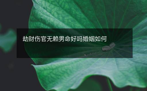 劫財傷官無賴男命好嗎婚姻如何