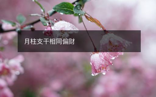 月柱支干相同偏財(cái)
