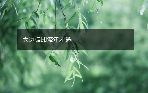 大運偏印流年才梟