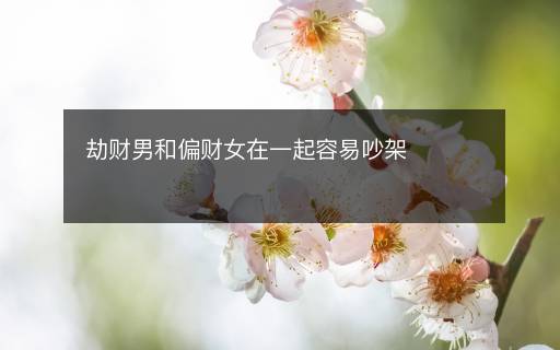 劫財(cái)男和偏財(cái)女在一起容易吵架