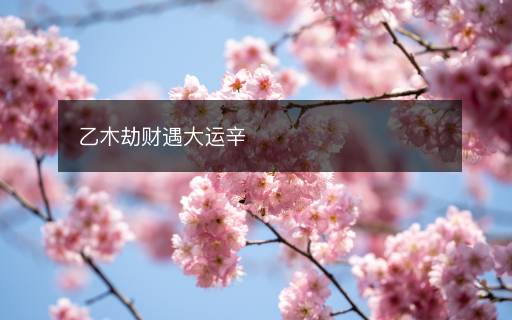 乙木劫財(cái)遇大運(yùn)辛