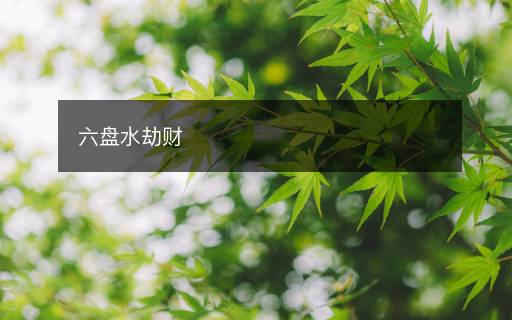 六盤水劫財