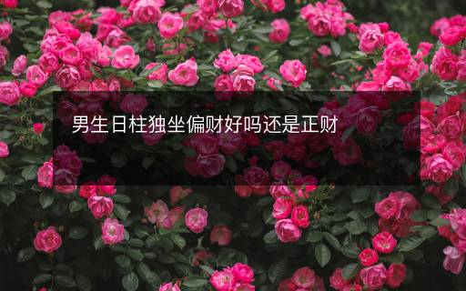 男生日柱獨(dú)坐偏財好嗎還是正財