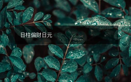 日柱偏財日元