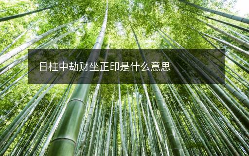 日柱中劫財(cái)坐正印是什么意思