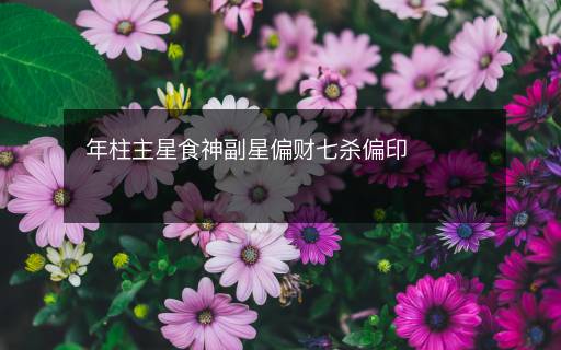 年柱主星食神副星偏財(cái)七殺偏印