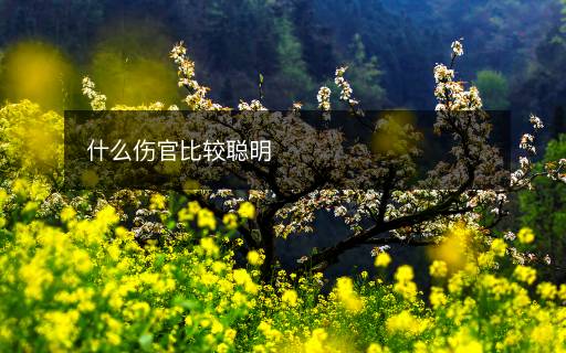什么傷官比較聰明