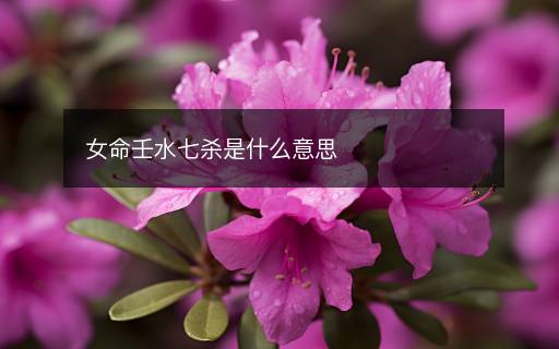 女命壬水七殺是什么意思