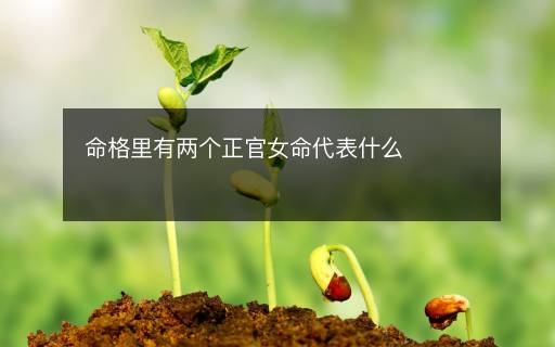 命格里有兩個(gè)正官女命代表什么