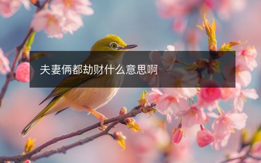 夫妻倆都劫財什么意思啊