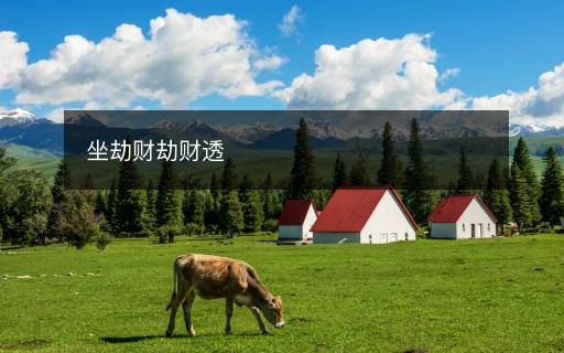 坐劫財劫財透
