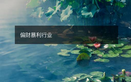 偏財(cái)暴利行業(yè)