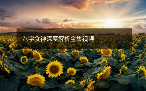 八字食神深度解析全集視頻