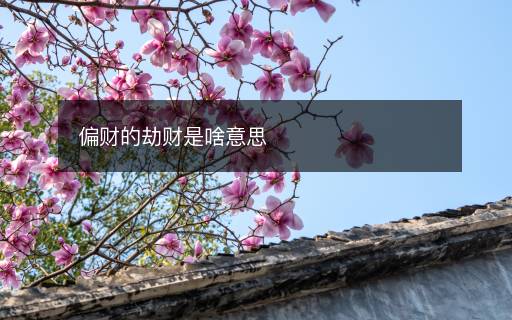 偏財(cái)?shù)慕儇?cái)是啥意思