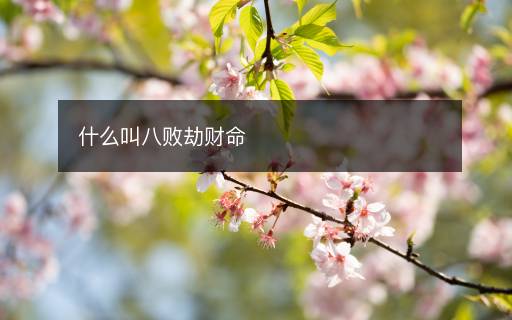 什么叫八敗劫財命