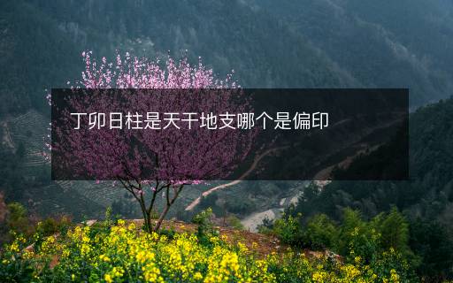 丁卯日柱是天干地支哪個是偏印