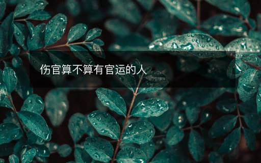 傷官算不算有官運(yùn)的人